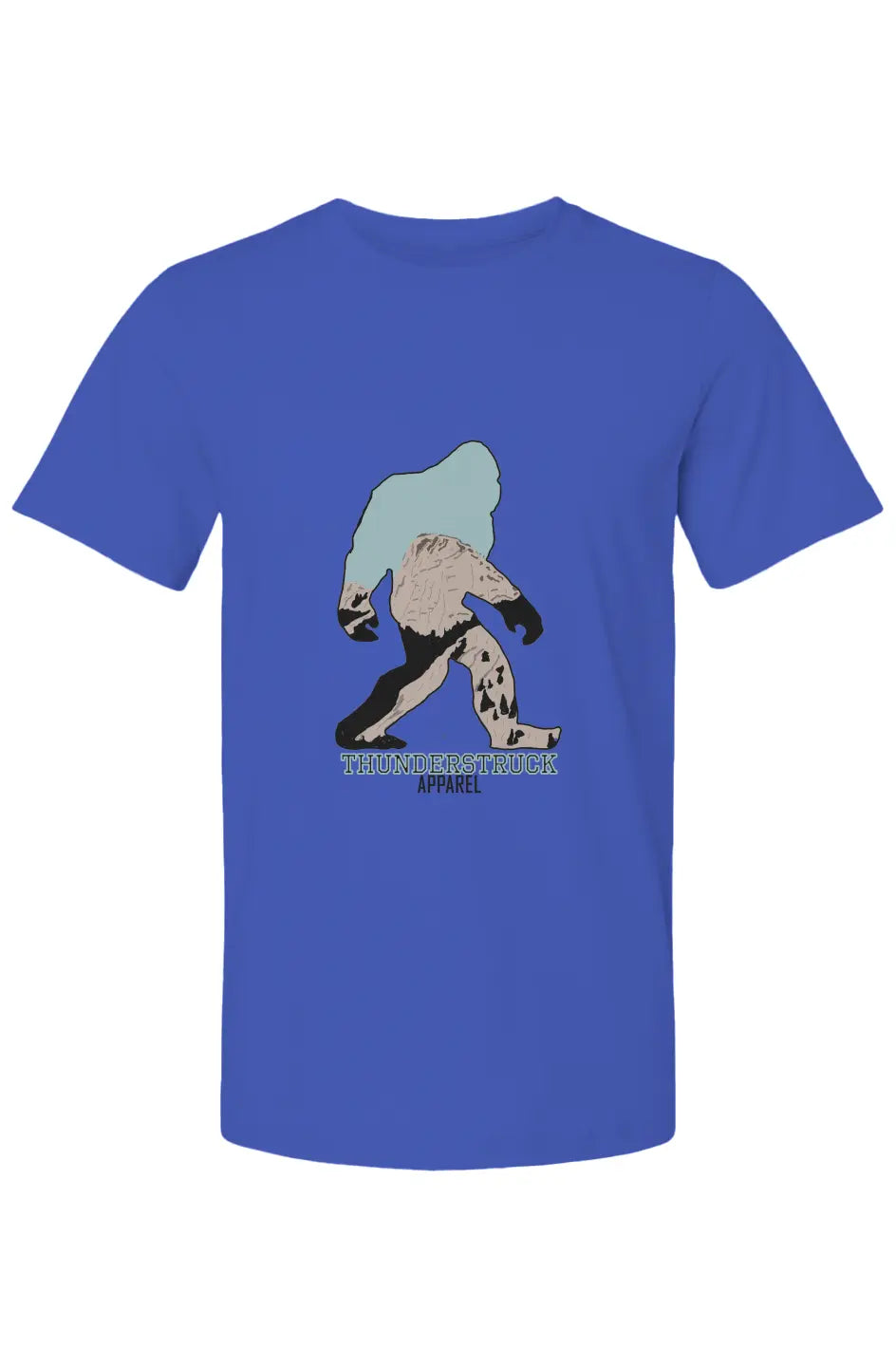 Bella Canvas T Shirt