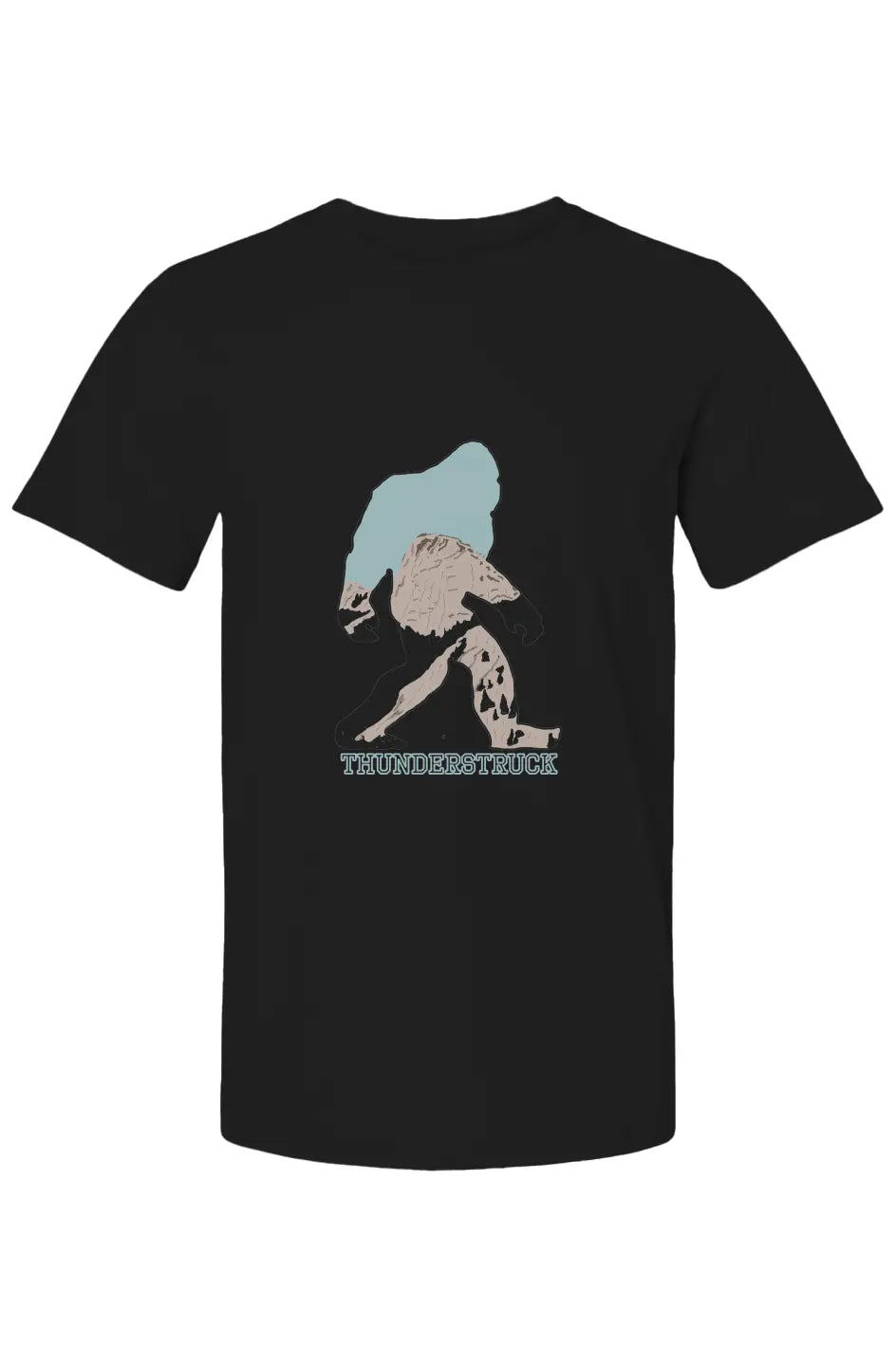 Bella Canvas T Shirt